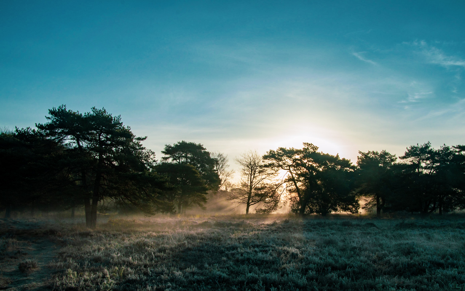 Zonsopgang op de heide